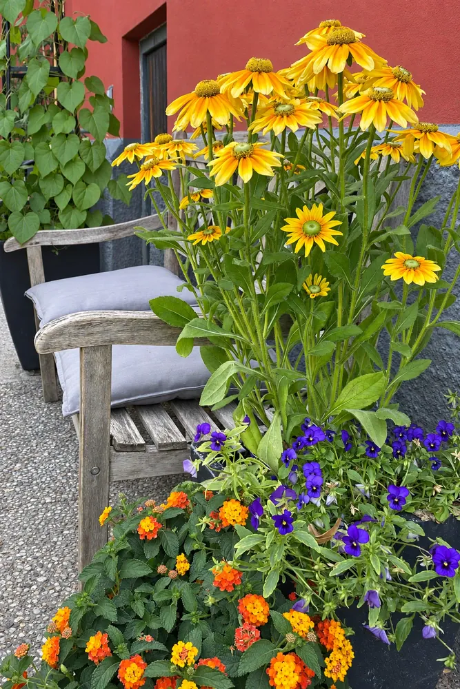 Bepflanzung und Gartenblumen